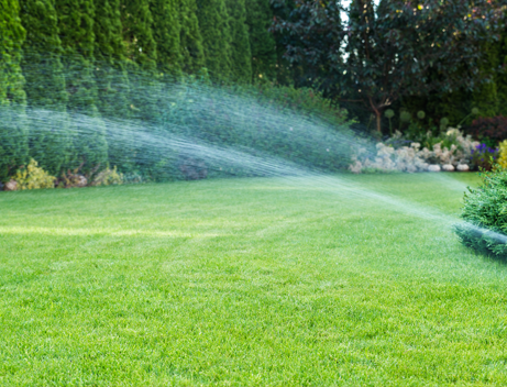 Professional Garden Maintenance