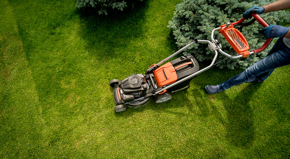 Home and Garden Maintenance