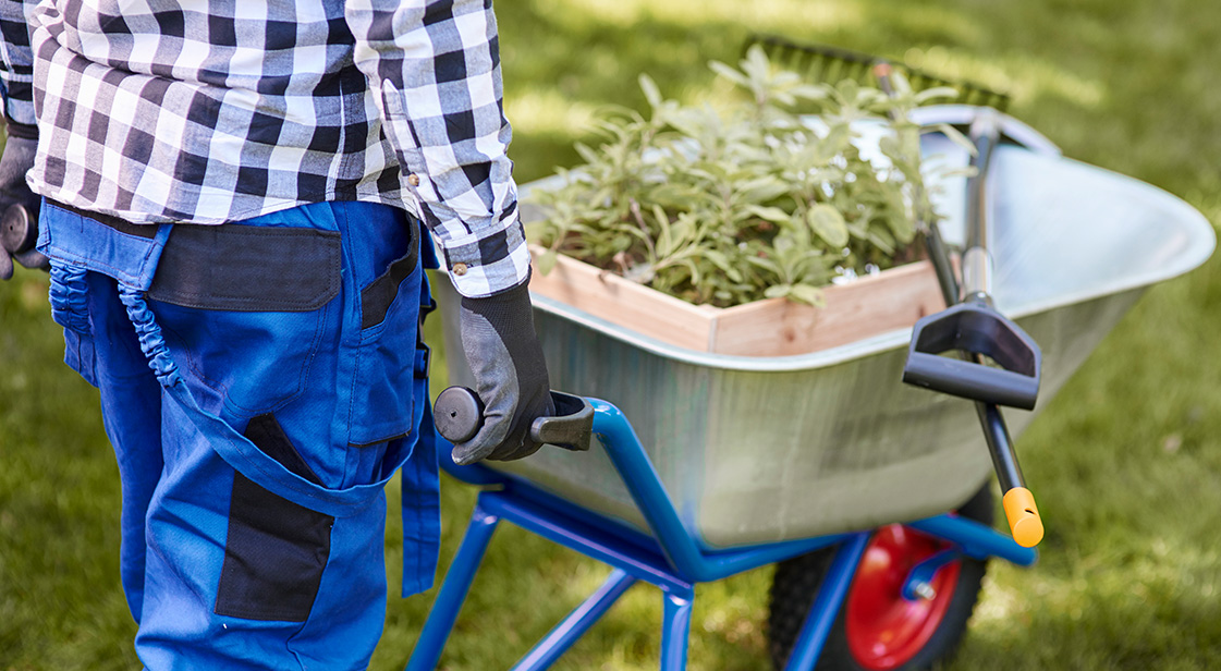 Local Garden Maintenance Services