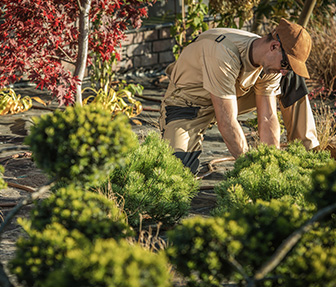 Commercial Gardening Services Melbourne
