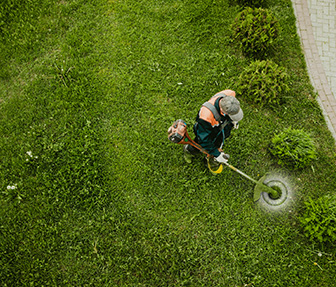 Garden Cleanup Services