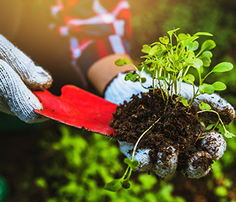 Gardening and Horticulture