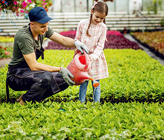 Horticulture Landscaping Service in Melbourne