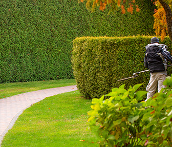 Soft Landscaping Services Melbourne