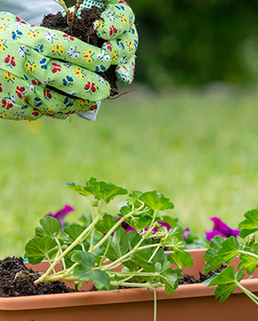 Gardening Services Melbourne