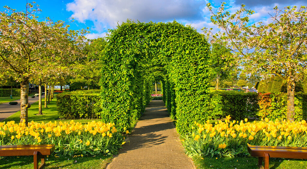 Garden Maintenance