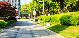 Body Corporate Gardening