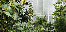 Commercial Gardening