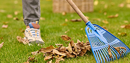Garden Cleanups