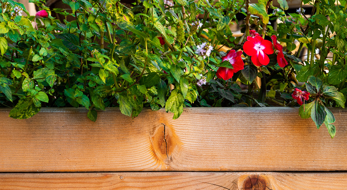 Home and Garden Maintenance
