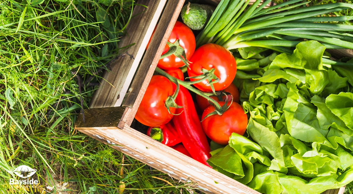 Professional Gardening Services