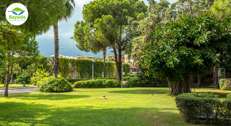 Exploring Soft Landscaping Services – Creating Lush Gardens That Last