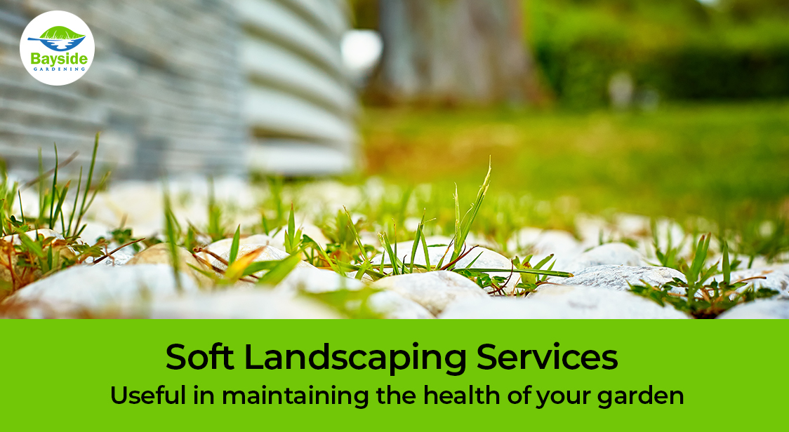 Soft Landscaping Services