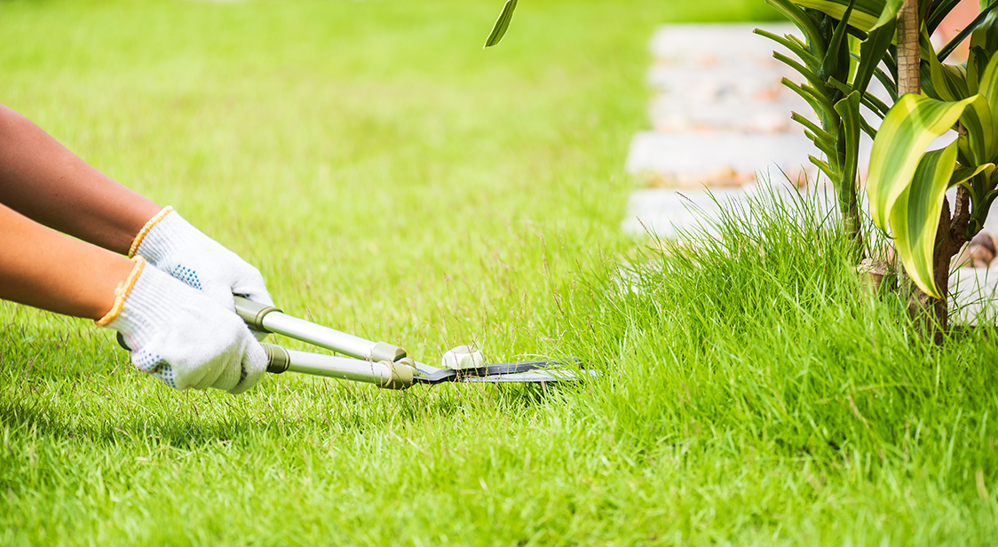 Soft Landscaping Services