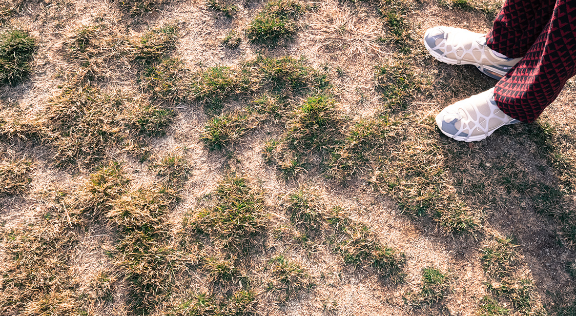 commercial gardening services