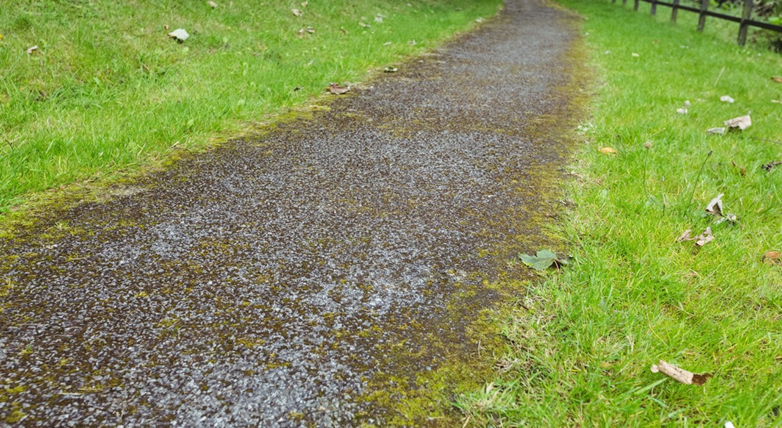 Gardening Services Melbourne - Bayside Gardening Gardening Services Melbourne