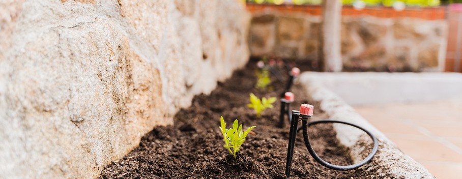 Irrigation System Inspection Melbourne Professional garden irrigation installer checking sprinkler system in Melbourne backyard