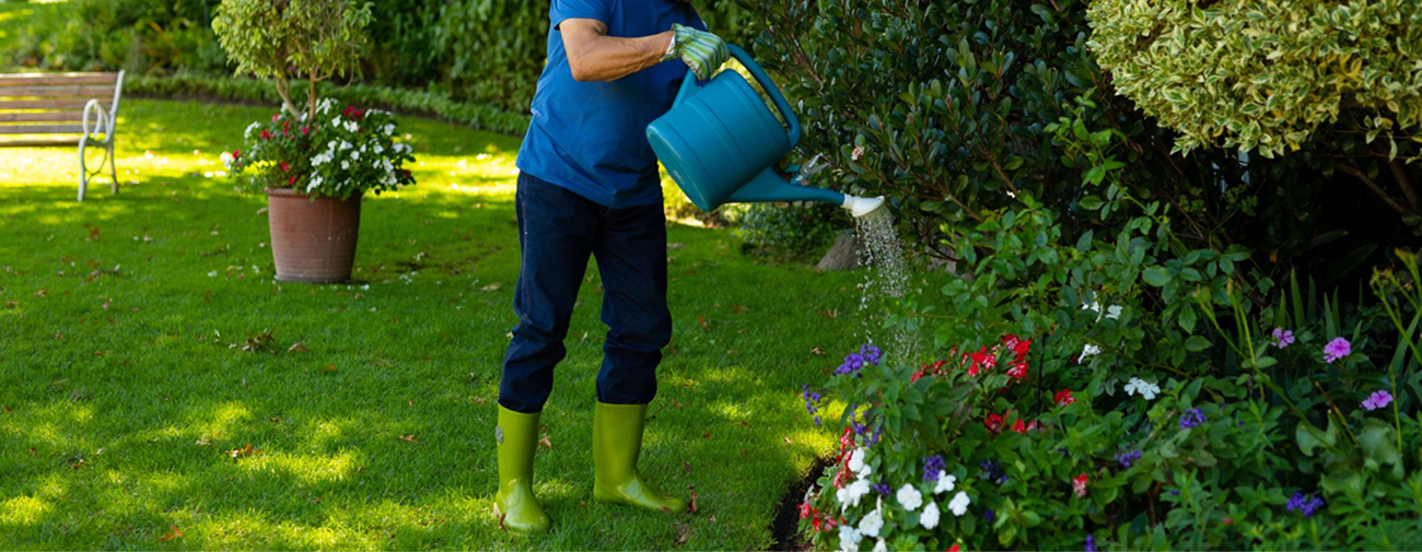 Healthy Garden Design with Professional Care Well-maintained garden showing healthy plants and structured landscape design