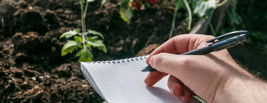 Irrigation & Soil Checks for Commercial Gardens Commercial garden irrigation and soil inspection at Melbourne body corporate property