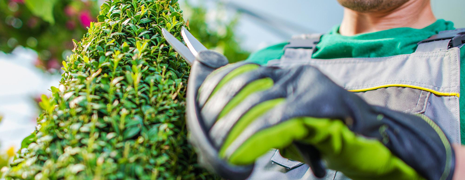 Seasonal Body Corporate Garden Care Melbourne Seasonal garden maintenance and tree care for Melbourne body corporate properties