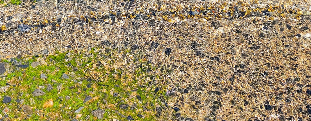 Professional Lawn Inspection For Yellow Grass Problems Professional gardener inspecting yellow grass, checking soil moisture, lawn roots and irrigation to identify the cause of lawn damage