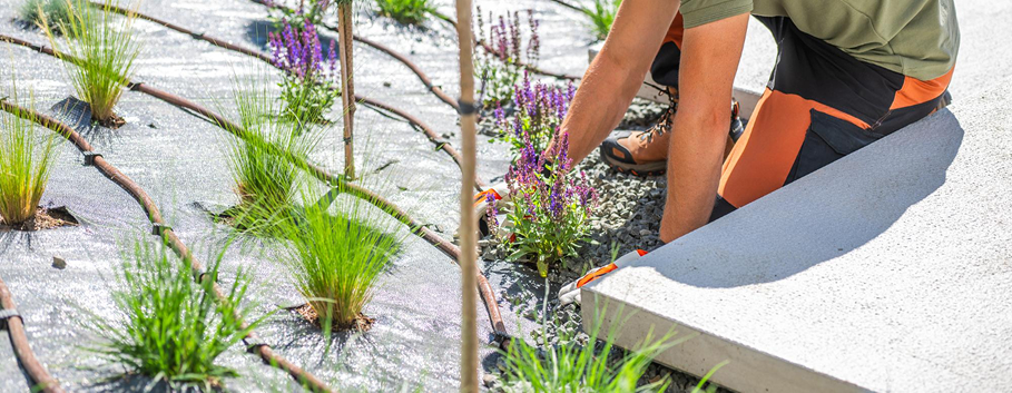 Garden irrigation system inspection and plant health assessment by experienced gardening professionals in Melbourne.