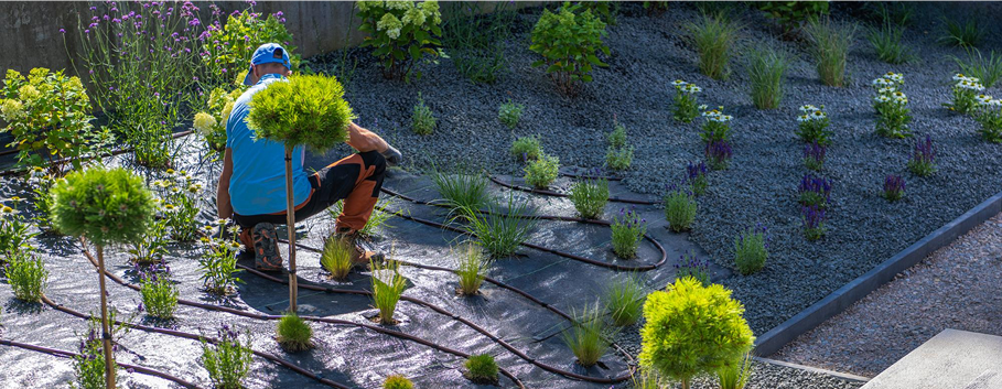 Garden Maintenance & Horticulture Experts Professional gardener pruning shrubs and maintaining healthy plants as part of expert gardening services in Melbourne.