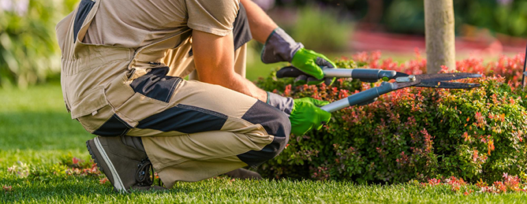 Professional gardening services in Melbourne maintaining a healthy residential garden with expert plant care and lawn maintenance.