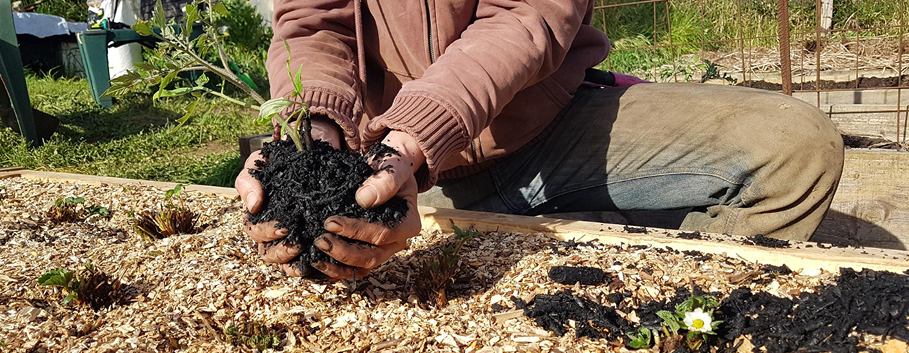 Professional Winter Garden Maintenance Professional gardener preparing garden beds with aeration, compost and mulch during winter garden maintenance in Melbourne